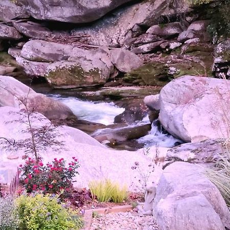 Riverside Retreat Ξενοδοχείο Hendersonville Εξωτερικό φωτογραφία