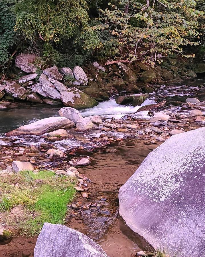 Riverside Retreat Ξενοδοχείο Hendersonville Εξωτερικό φωτογραφία