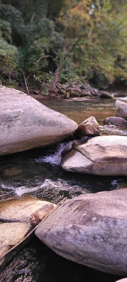 Riverside Retreat Ξενοδοχείο Hendersonville Εξωτερικό φωτογραφία